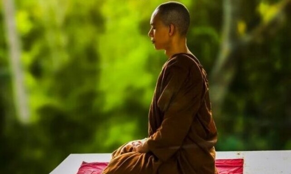 Thiền định và thiền tuệ có gì khác nhau?