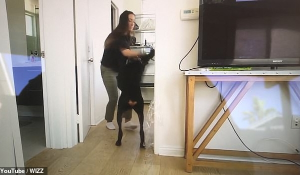 Nữ vlogger bị chỉ trích vì đăng nhầm clip đánh chó cưng lên kênh Youtube