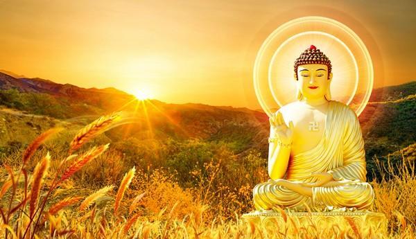 Phật Pháp giúp ta sống độc lập tự tu không lệ thuộc vào người khác!