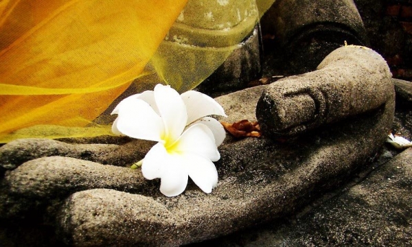 Chiêm nghiệm Phật pháp trong đời thực