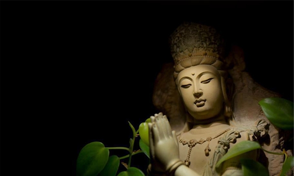 Đạo Phật giúp con chữa lành mọi vết thương trong cuộc sống