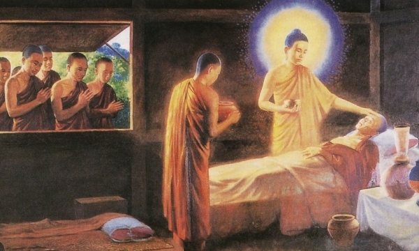Những pháp nào của đạo Phật có thể áp dụng vào nghề Đông y?