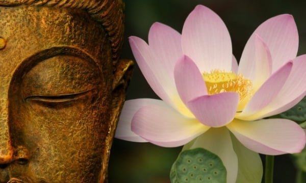 Hành trình đến với đạo Phật và giá trị học được