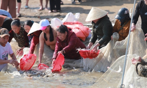 Chùa Viên Quang phóng sinh 10 tấn cá xuống sông Lam