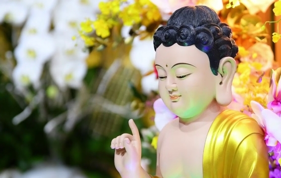 Tâm hương mùa Phật Đản