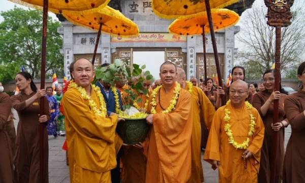 Nhánh cây bồ đề 2.300 tuổi từ Sri Lanka được rước về trồng tại chùa Bái Đính