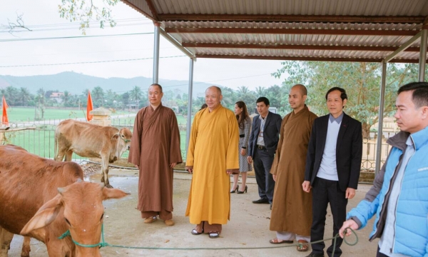 Thanh Hoá: BTS Phật giáo tỉnh trao tặng bò giống cho các hộ nghèo