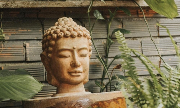 Phật đã giác ngộ điều gì và giải thoát khỏi cái gì?