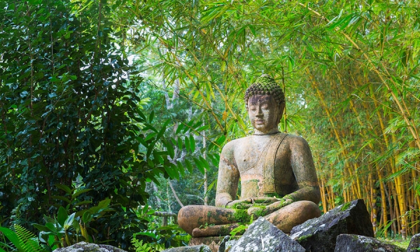 Đạo Phật đã thức tỉnh người ngủ mê trong khu rừng âm u không lối thoát