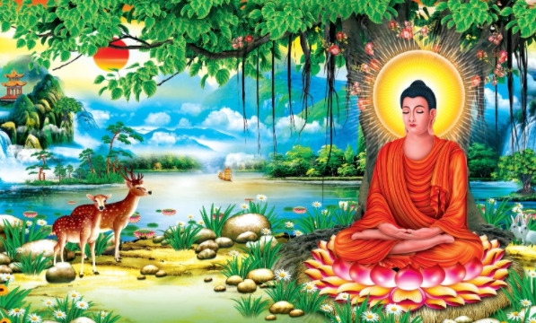 Trong con đã mang được hạt giống của Phật thì phải gìn giữ nó