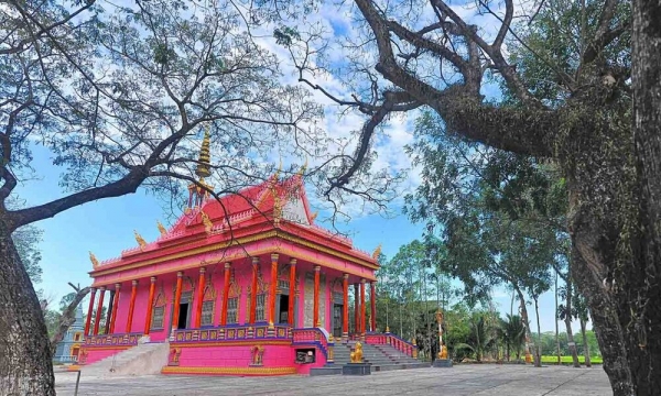Vẻ đẹp của ngôi chùa màu hồng nằm giữa hàng trăm cây còng ở An Giang