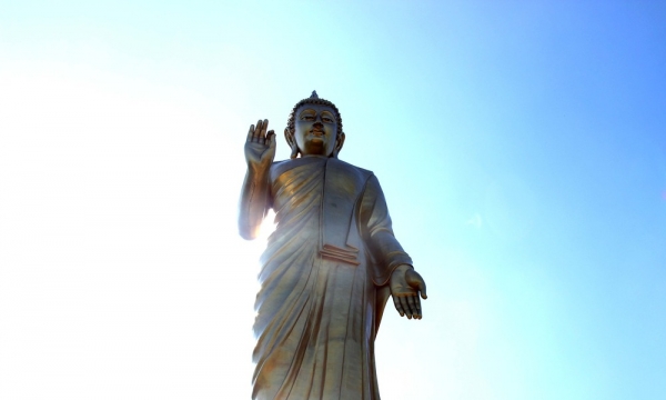 Cách nói Phật A Di Đà là vua trong các Phật xuất phát từ kinh điển nào?