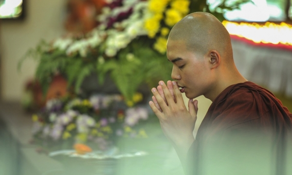 Sau khi học Phật bị người đời chê cười, không khỏi khởi tâm sân hận. Nên làm gì?
