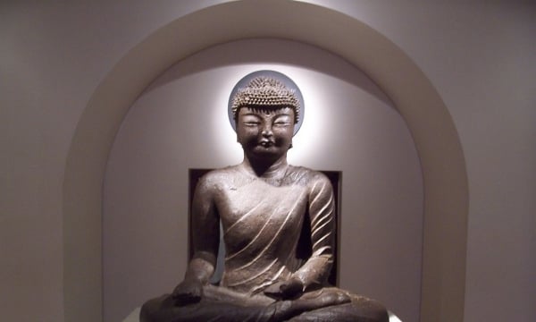 Chỉ đọc kinh A Di Đà và niệm Phật thì lúc lâm chung có được vãng sanh không?