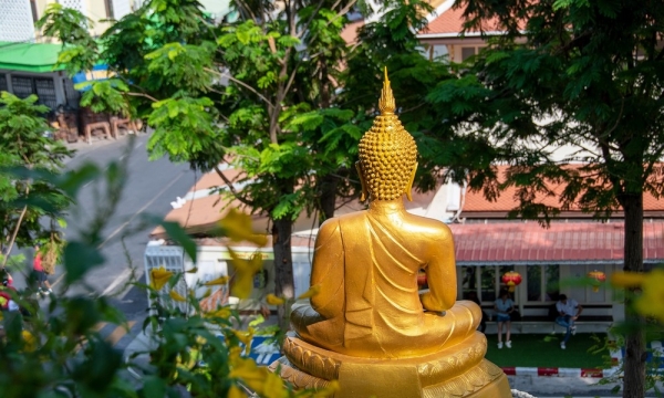 Niệm Phật vãng sanh dễ dàng như vậy thế tại sao Phật lại dạy nhiều pháp môn khác?