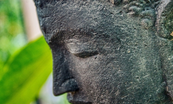 Tụng kinh niệm Phật và làm thiện có thể tiêu trừ tai nạn không?