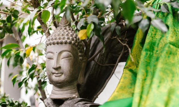 Tại sao có sự khác nhau về thọ mạng của các Đức Phật?