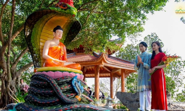 Câu chuyện rắn thần Muchalinda che mưa cho Đức Phật