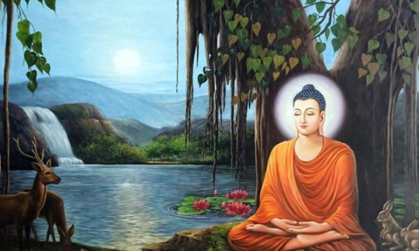 Chỉ số chất Phật trong con người