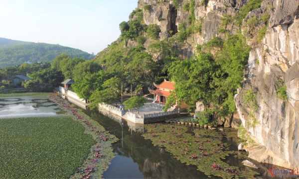 Ngôi chùa đặc biệt ở Thanh Hoá, mỗi ngày có đàn khỉ hoang rủ nhau về