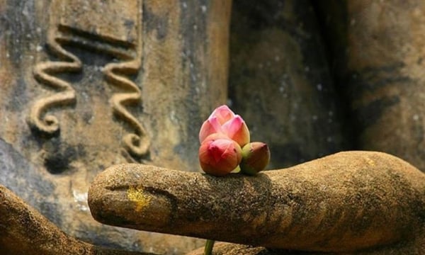 Phải chăng tu học đạo Phật là cô đơn đi ngược dòng đời?