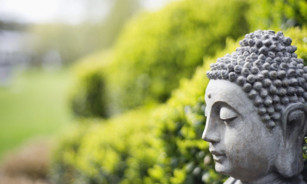 Suy nghiệm lời Phật: Gặp Phật mà không biết