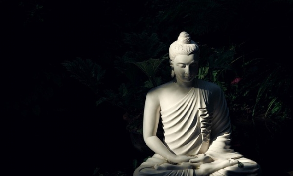 Khoa học và tái sinh theo nhà Phật (phần 3)