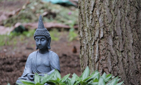 Tìm thấy chính mình qua đạo Phật