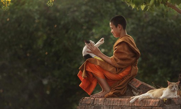 Học Phật là trở về học lại chính mình