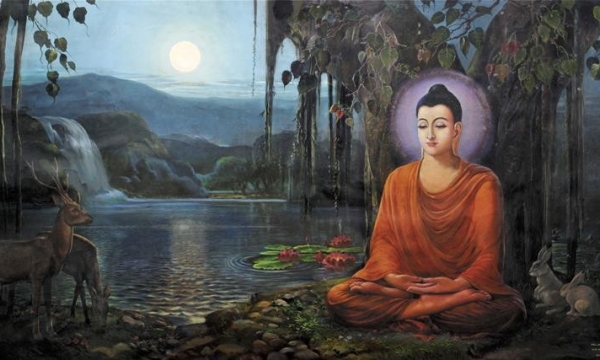 Cảm tưởng về Đức Phật Thích Ca Mâu Ni