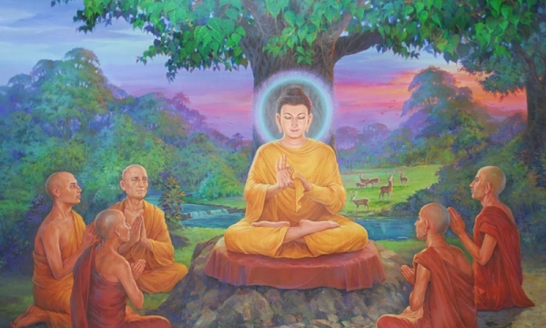 Vì sao giáo pháp của Đức Phật tùy căn cơ mà ứng hợp?