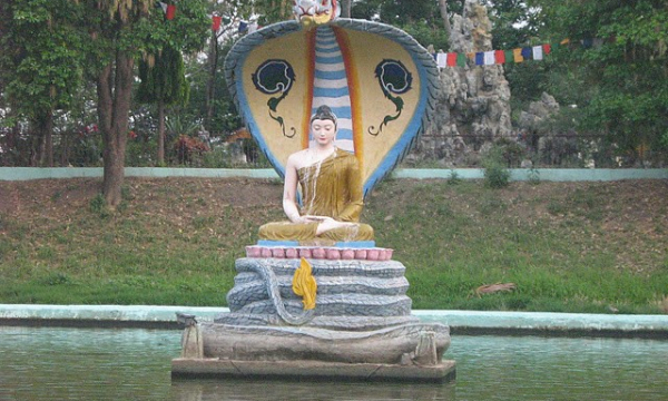 Rồng trong kinh điển Phật giáo