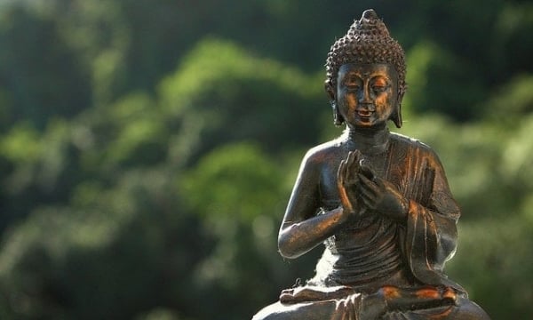 Niềm tin Phật Pháp hồi sinh tôi