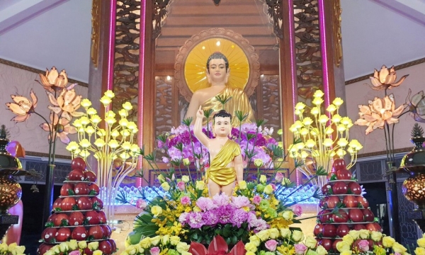 Nhân mùa Phật Đản bàn về tích đản sanh