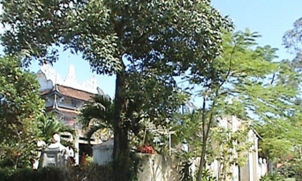 Quang Long Tự - Ngôi chùa cổ ở làng văn hóa Đại Tập (Ninh Hòa)