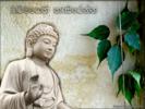 Hãy cho và nhận đúng lý tưởng, phương châm sống của người con Phật
