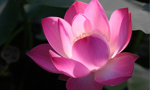 Diễn văn bế mạc Đại hội