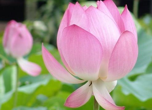 Thư của Đại hội gửi Chủ tịch Nước CHXHCN Việt Nam