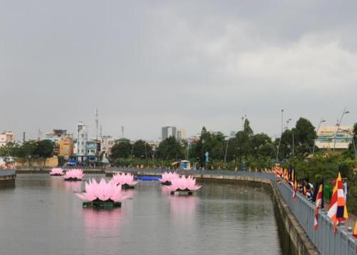 Tp.HCM: Hoa sen 'khổng lồ' đã xuất hiện trên kênh Nhiêu Lộc