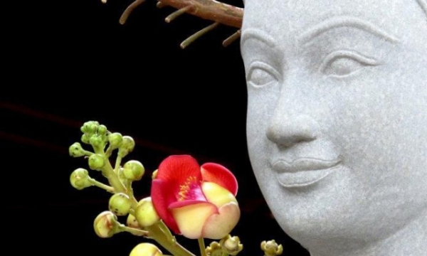 Đạo Phật là đạo nở hoa