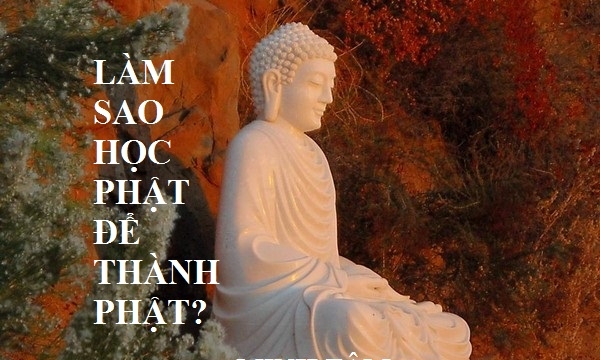 Làm sao học Phật để thành Phật? (P.6)