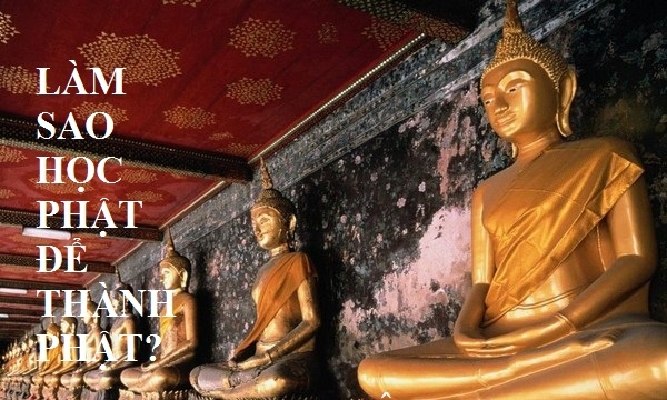 Làm sao học Phật để thành Phật? (P.7)