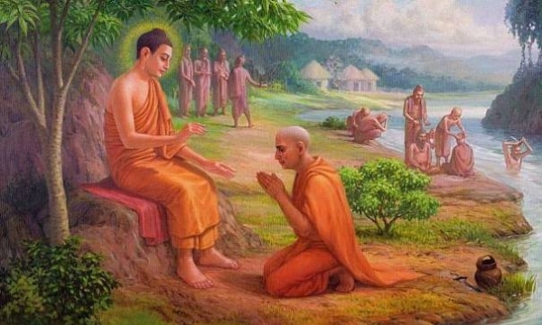 Học Phật cần có chân Tâm