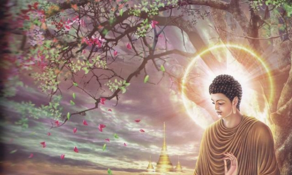 Bài học từ vị Điều Mã Sư và đức Phật