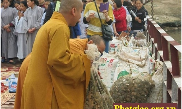 Hà Nội: Phật tử chùa Sủi phóng sinh nhân ngày Vía đức Bồ tát Quán Thế Âm