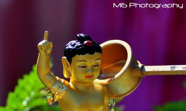 Ý nghĩa Phật đản PL.2558 - DL.2014