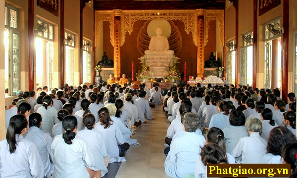 Tp.HCM: Khóa tu thiền chùa Từ Tân tổng kết cuối năm