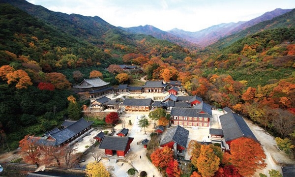 Đặc điểm nổi bật của Phật giáo và ngày Lễ Phật đản tại Hàn Quốc 