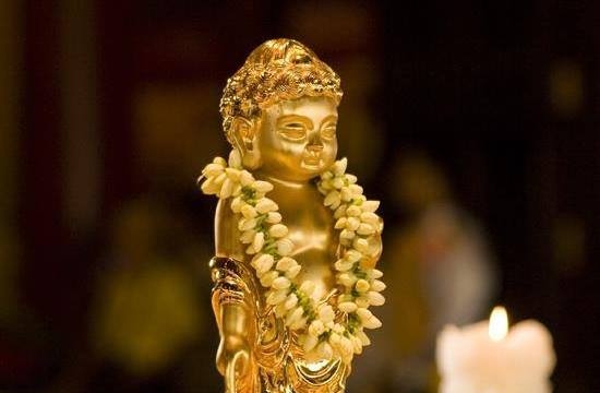 Mùa Phật đản về, nhớ Lời dạy của Đức Phật