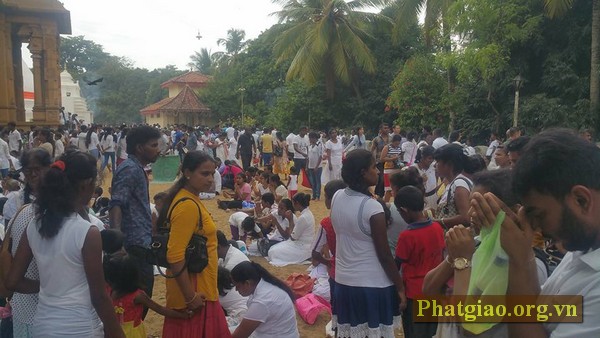 Ký sự về 'đức tin thuần tịnh' ở đất nước Sri Lanka